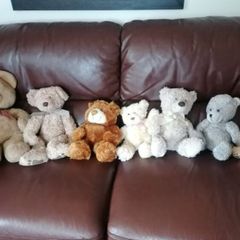 Teddy Bears Soft Toys