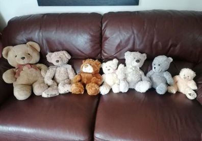 Teddy Bears Soft Toys