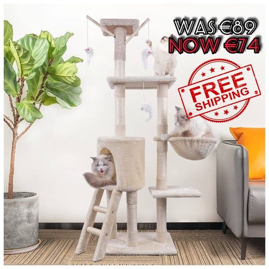 NEW SALE | Cat Tree, Cat Scratch Posts 145cm Multi-Level Stable Climbing Tower Trees with Ladder, Indoor Pet Activity Furniture Play House for Kitty Kitten
