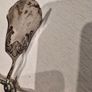 Vintage Silver or Silverplated Serving Tongs Image 3