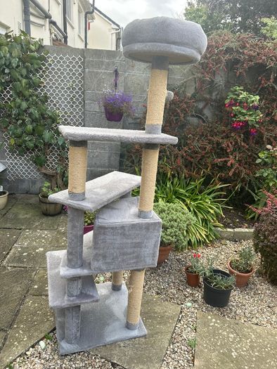 Cat scratcher
