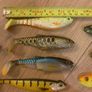 fishing lures pike perch Image 5