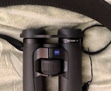 Zeiss Victory SF 10x32