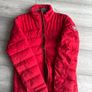 canada goose Image 6
