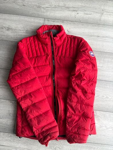 canada goose