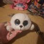 TY cute baby seal Image 4