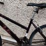 Pendleton Image 2