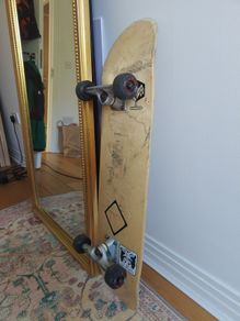 Mini Logo skateboard