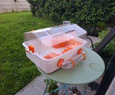 hamster cage