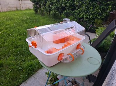 hamster cage