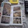 Geology Bundle Image 7