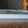 Coarse Fishing A Step-By-Step Guide Image 3