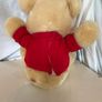 New Cream Teddy Bear Image 2