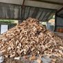 Hardwood Firewood Image 5