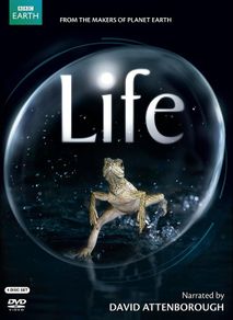 BBC Life Narrated by David Attenborough DVD BRAND NEW