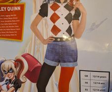 Harley Quinn  age 12-14
