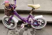 Raleigh Molli 14" frame Girls bike