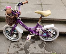 Raleigh Molli 14" frame Girls bike