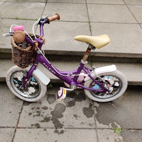 Raleigh Molli 14" frame Girls bike