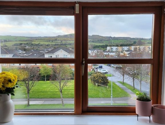 Window  Repair & Service