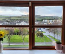 Window  Repair & Service