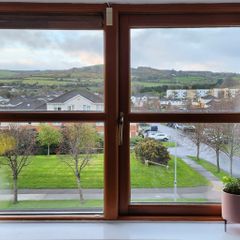 Window  Repair & Service