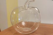 Plant terrarium