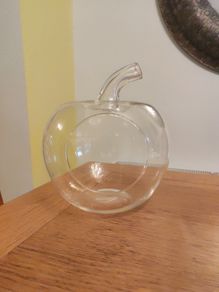 Plant terrarium