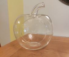 Plant terrarium