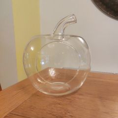 Plant terrarium