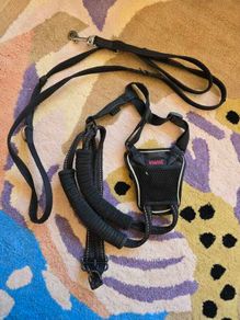 Halti Dog Harness and Leash