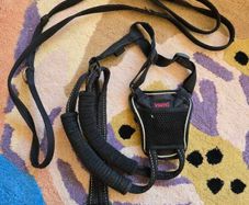 Halti Dog Harness and Leash