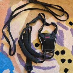 Halti Dog Harness and Leash