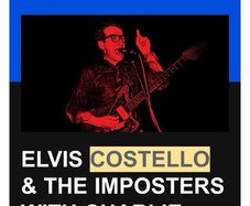 1 ticket for Elvis Costello @ Iveagh Gardens