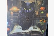 Witchy House Decoration