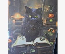 Witchy House Decoration