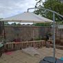 garden Image 5