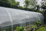 The  Classic Greenhouse