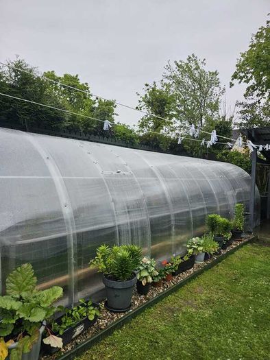The  Classic Greenhouse