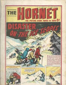 The Hornet #341 Mar 21st 1970