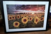 large picture