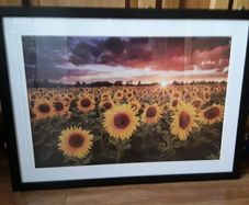 large picture