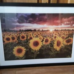 large picture