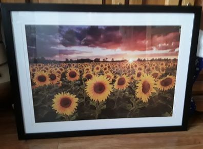 large picture
