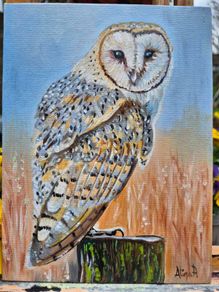 Barn Owl / oil painting on canvas panel