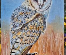 Barn Owl / oil painting on canvas panel