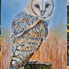 Barn Owl / oil painting on canvas panel