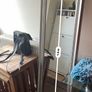 freestanding mirror Image 3
