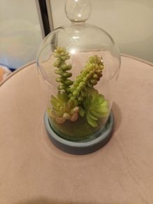 Faux succulent in Bell jar