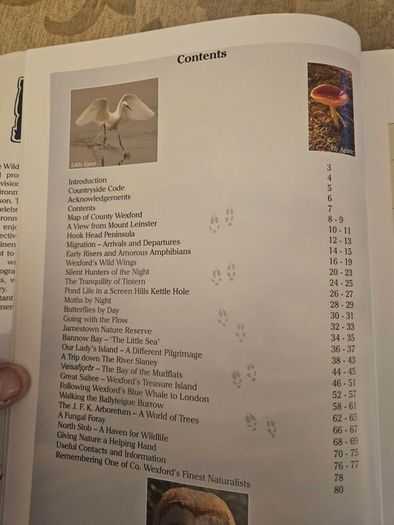 Wexford's Wild Heritage. By Alan Maguire- Christopher J. Wilson- Don Conroy. First Edition Large Volume Hardback With Dustjacket In Good Condition.  See Photos For Same.